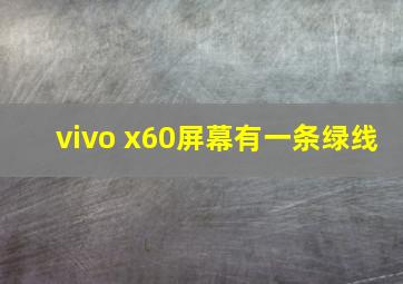 vivo x60屏幕有一条绿线